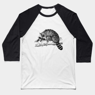 Skunk in his natural habitat Baseball T-Shirt